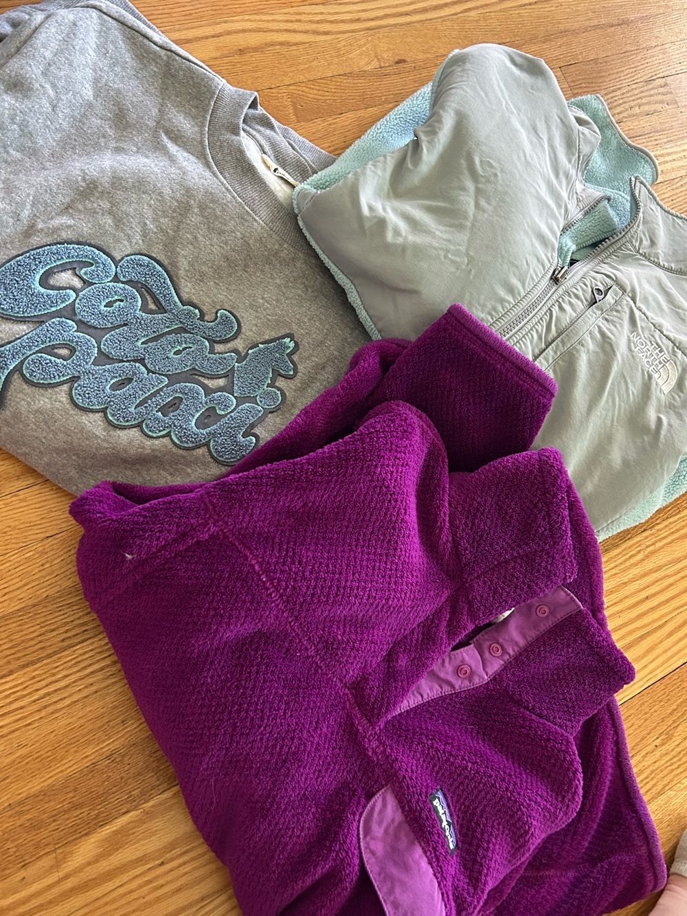 Patagonia Purple Fleece Jacket with Grey Sweatshirt and Mint Vest